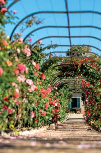 Roserarie Villa Eilenroc