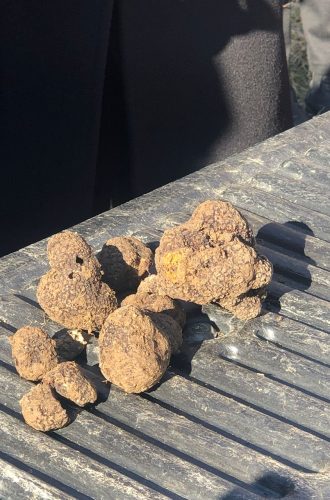 e67e8658-e4d7-4282-a6e5-8a16efa14f77