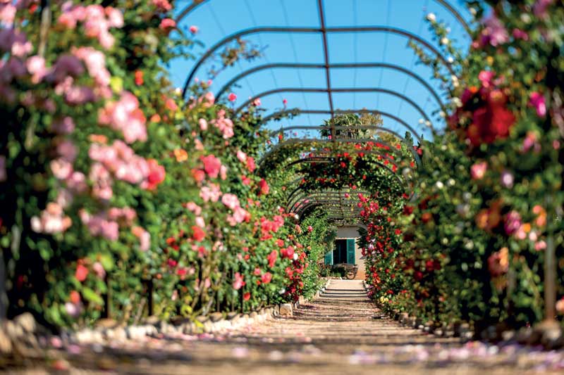 Roseraie Villa Eilenroc